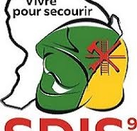 Logo S.D.I.S Guyane